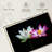 Pink And White Lotus Flowers