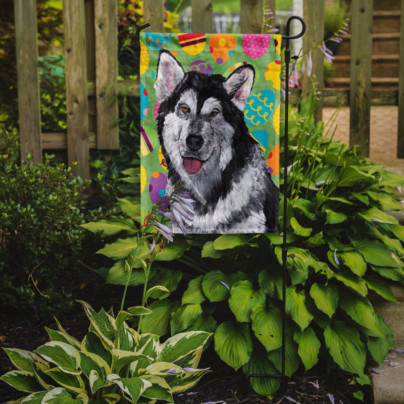 Drapeau de jardin Atara, Malamute de l'Alaska