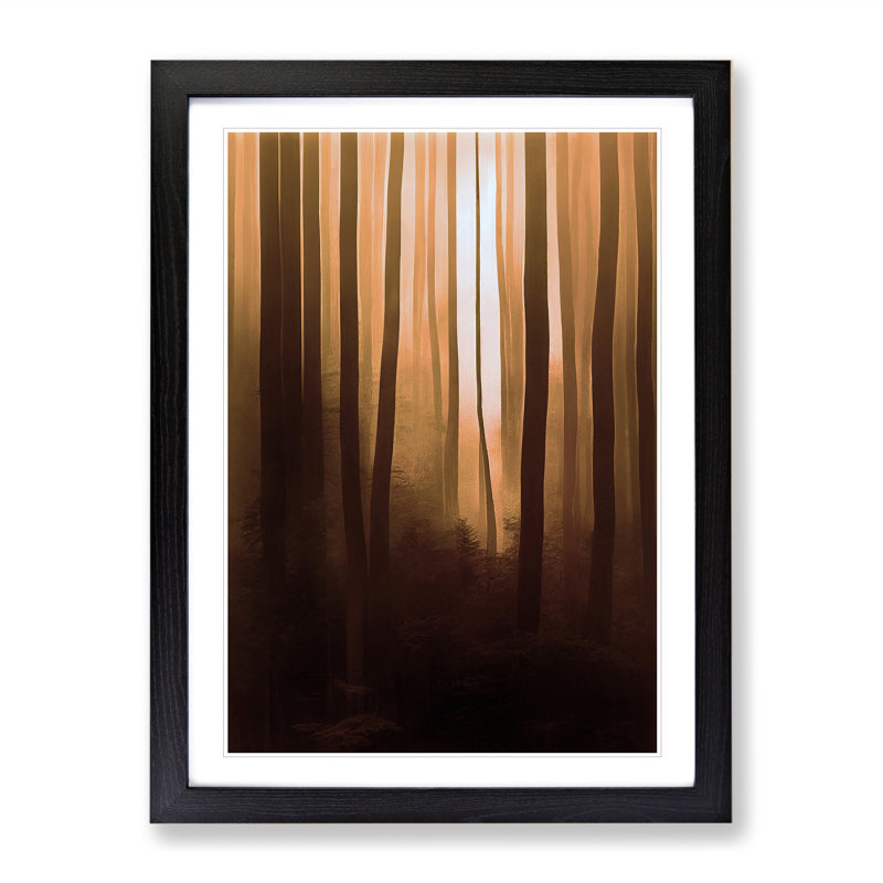 Autumnal Forest No.3 - Single Picture Frame Print, 64cm H x 46cm W x 2cm D, Black Framed