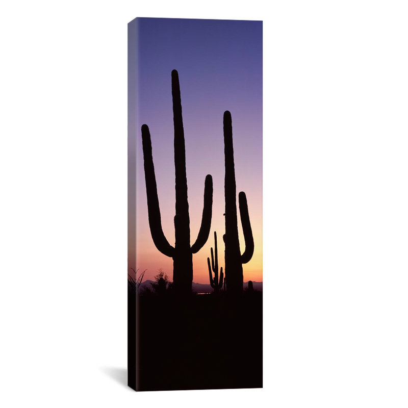 «Saguaro National Park, Tucson, Pima County, Arizona», reproduction d'art sur toile tendue, H 60 po x l 20 po x P 1,5 po