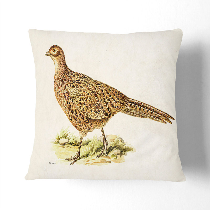 Pheasant by Von Wright Cushion with Filling, White, 55cm H x 55cm W x 20cm D