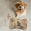 Tapis pour animaux Feline Toile