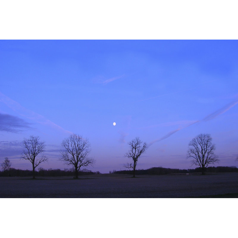 Moonrise - Wrapped Canvas Print, 51cm H x 76cm W