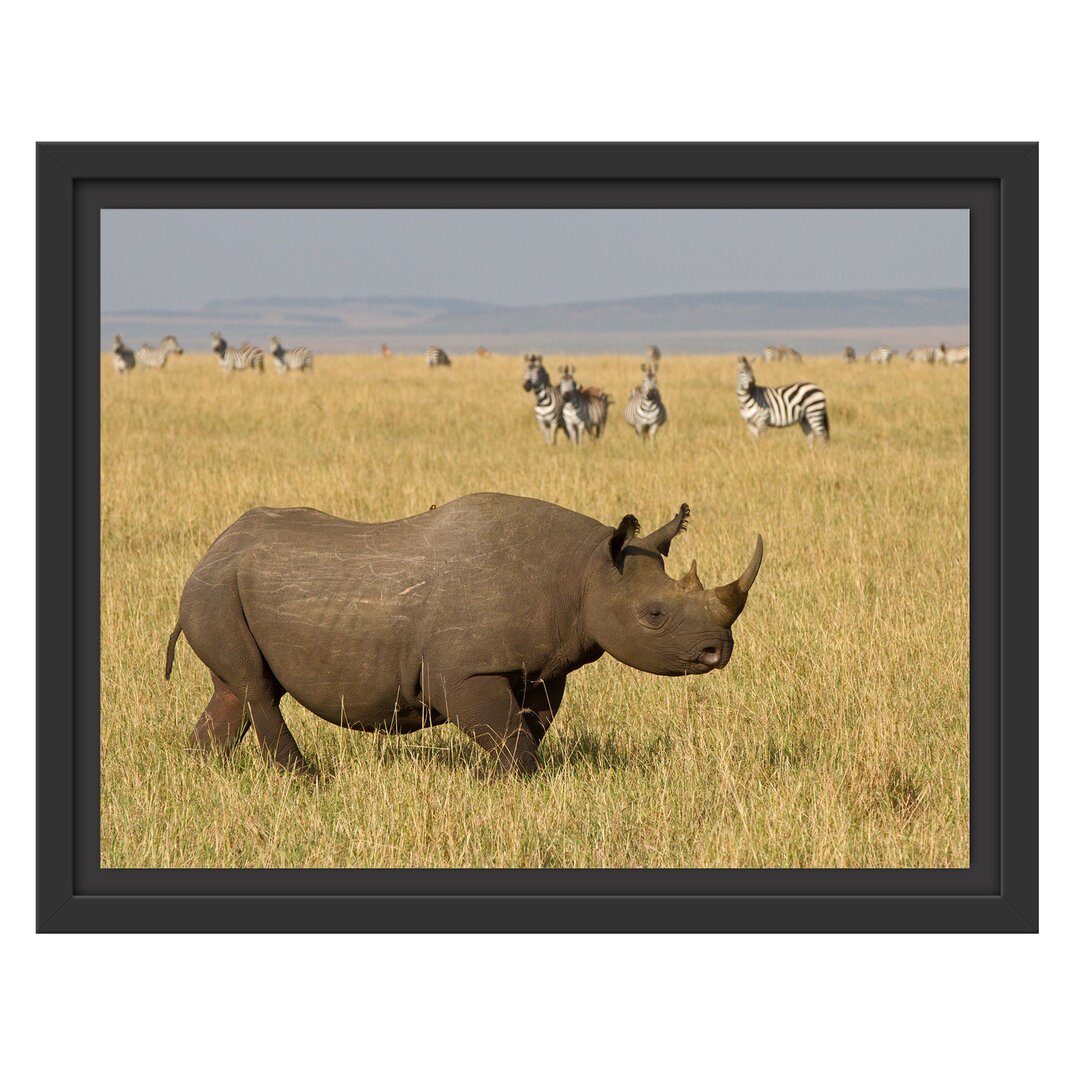 Gerahmtes Wandbild großes Nashorn mit Zebrahorde