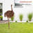 Medon Animals Weather Resistant Metal Garden Statue-1464216867