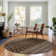 Premium Machine Washable Prisco Chocolate Rug