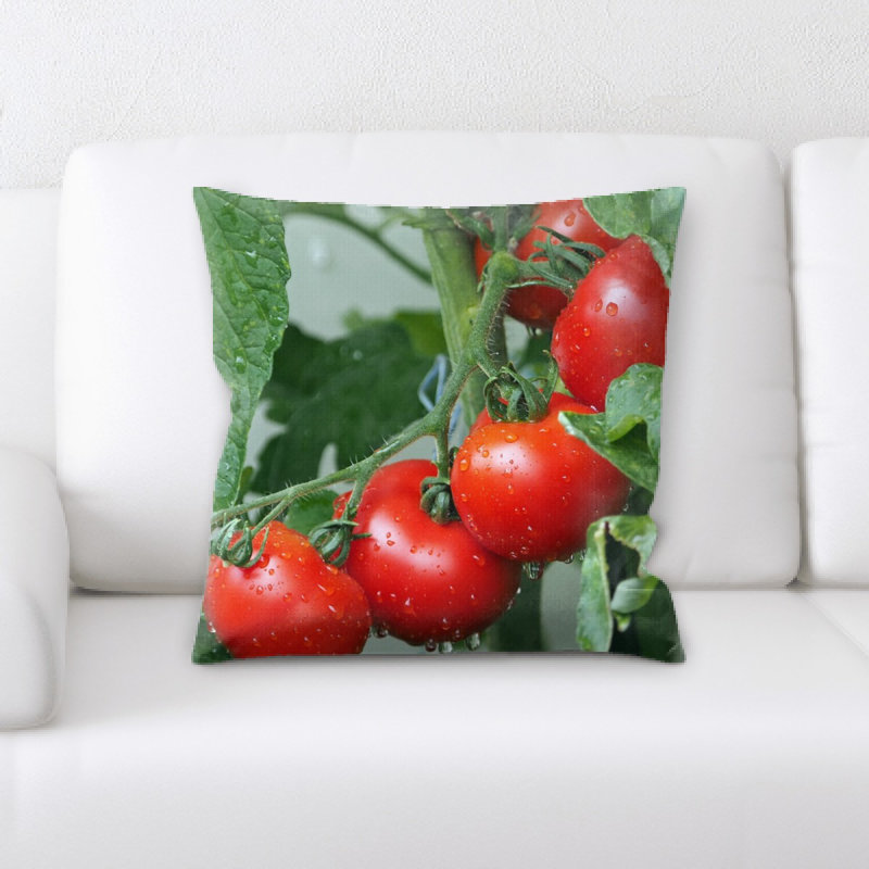 Coussin en tomates