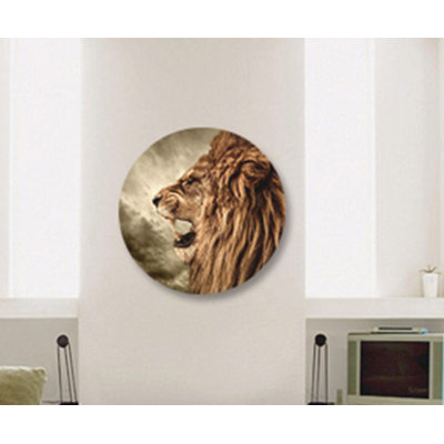 Profil de lion épique - photographie