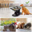 Elevated Feeder
