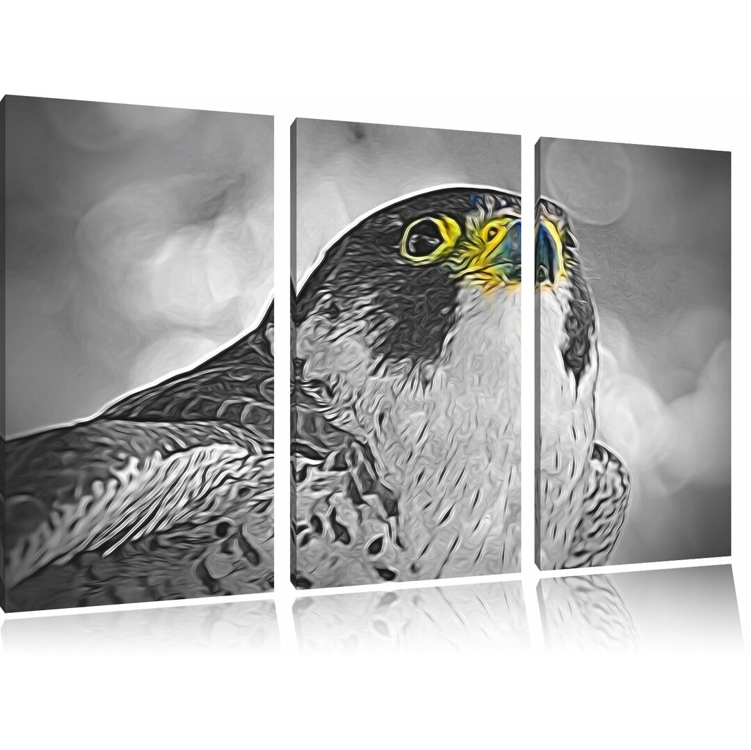 3-tlg. Leinwandbilder-Set „Schöner anmutiger Adler“, Grafikdruck