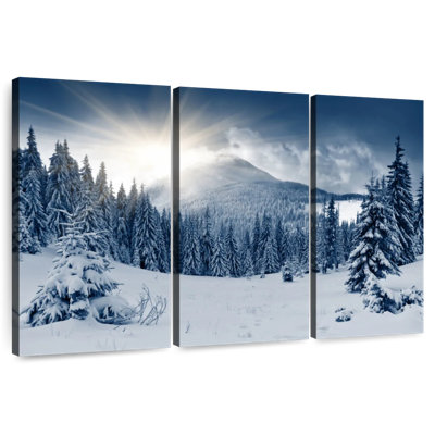 Alvord Snow Covered Pine Forest