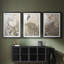 ANIMALS Series CCLV - Impression encadrée sur mesure de qualité supérieure - 3 pièces-1285023878-1285023872