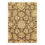 Oriental Area Rug in Brown