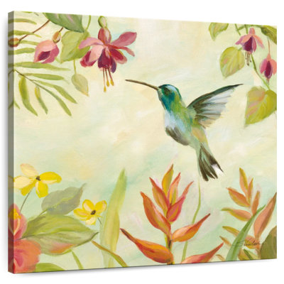 Hummingbirds Song I