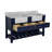 Hitton 60'' Double Bathroom Vanity with Top-1878721563-1759664138