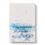 Seagulls Flying High - Wrapped Canvas-56633402