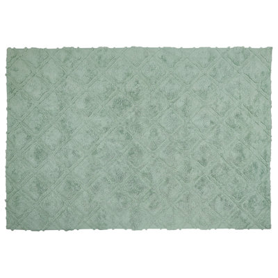 Opelika Geometric Hand Woven Area Rug
