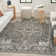 Knibbs Machine Woven Polypropylene/Polyester Area Rug in Gray