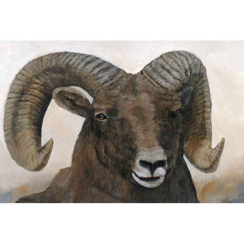 The Horns Have It I by Kathy Winkler - Wrapped Canvas Print, 30cm H x 46cm W