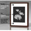 Cadres muraux avec passe-partout Gallery-730812267-730812278