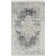 Radtke Oriental Indoor Rug