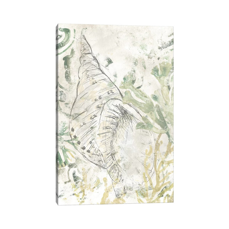 Verdant Shell Fresco II by June Erica Vess - Wrapped Canvas Gallery-Wrapped Canvas Giclée, 30.48cm H x 20.32cm W