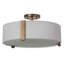 4 - Light Semi Flush Mount