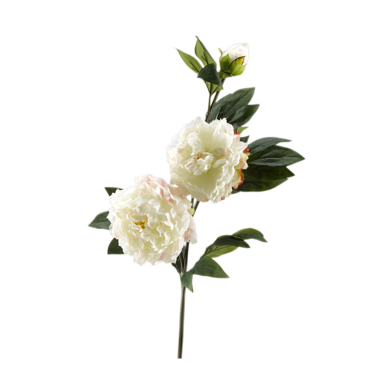 Peony Arrangement