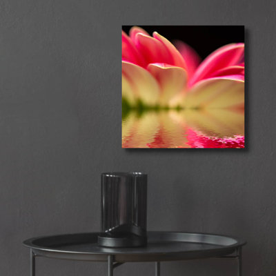 «Gerbera Daisy Reflection» par Pamela Plummer