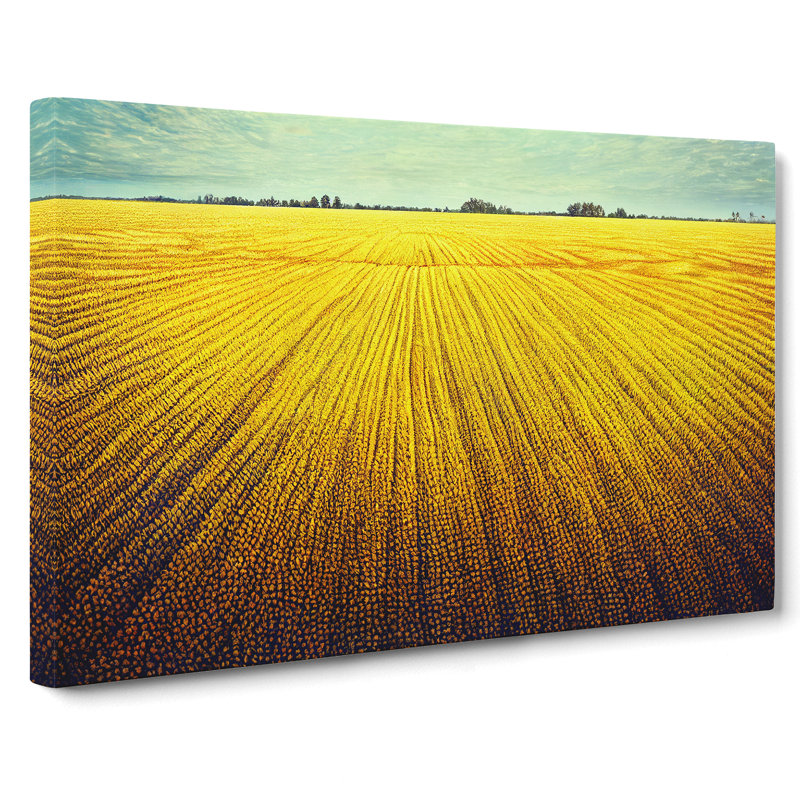 Splendid Wheat Field - Wrapped Canvas, 35cm H x 50cm W x 3cm D
