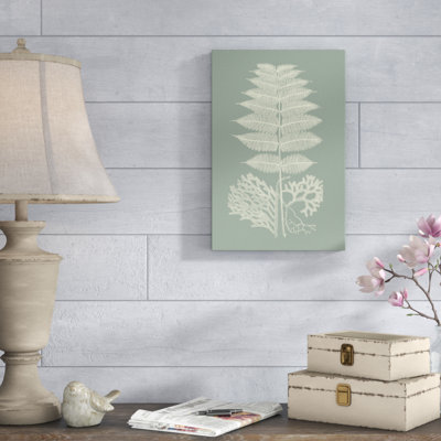 Ferns on Sage V by Vision Studio - Painting Print