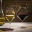 Library Crystal White Wine Glass