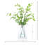 Vase Nandina