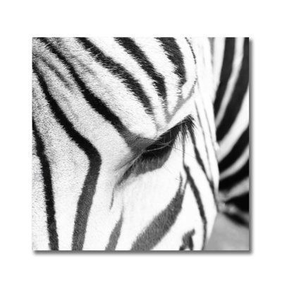 Œil du zèbre par DecorumBY - photographie sans cadre