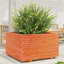 Wood Planter Box-104931187-108200349