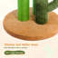 Grattoir pour chat Oasis Series