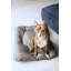 Solon Pet Bed-99232203-99232204-99232207