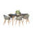Anautica 6 - Person Wood Patio Dining Set with Rectangular Table