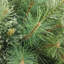 Arbre de Noël artificiel pin moyen 6,5 pi en mélange de cachemire - non éclairé