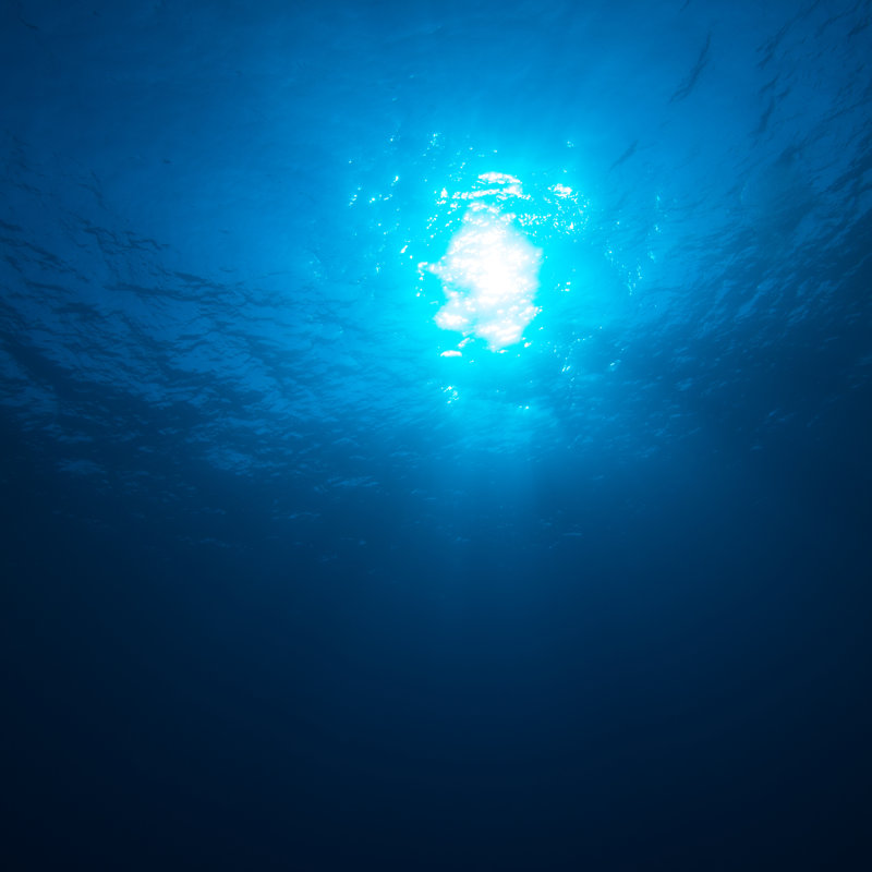 Underwater Background - Wrapped Canvas Print, 122cm H x 122cm W x 3.8cm D