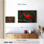 Oiseau rouge Brampt-108696713