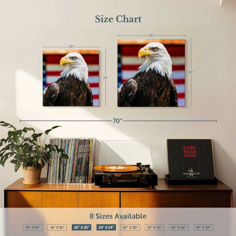 Brampt Mighty US Bald Eagle, 20" H x 20" W