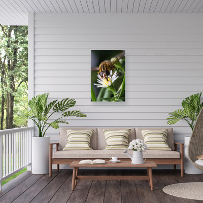 «Steven Ellingson Pray On Flowers On Canvas» par Steven Ellingson, reproduction