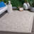 Sunwashed 308 Performance Oriental Rug