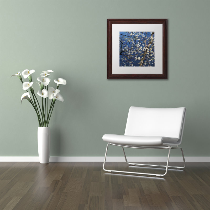 «Springtime at the Lake», reproduction de photo encadrée, H 16 po x l 16 po x P 0,5 po