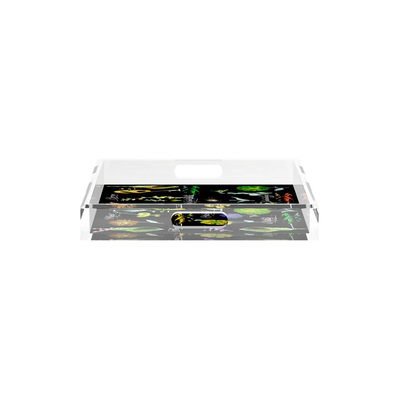 Botanicals Xray Acrylic Square Decorative Tray, Green, 12"W x 12"D x 2"H