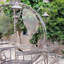 Grand chariot cendrillon rond luciana-46825120