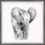 «Knepp Lonely Elephant», reproduction encadrée-1821842399