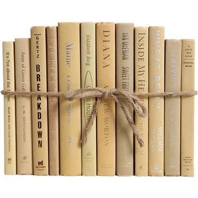 Livres décoratifs - Ensemble de livres en bois de santal - 1 pied de livres brun clair