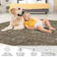 Abstract Machine Printed Area Rug-265966430-265966417